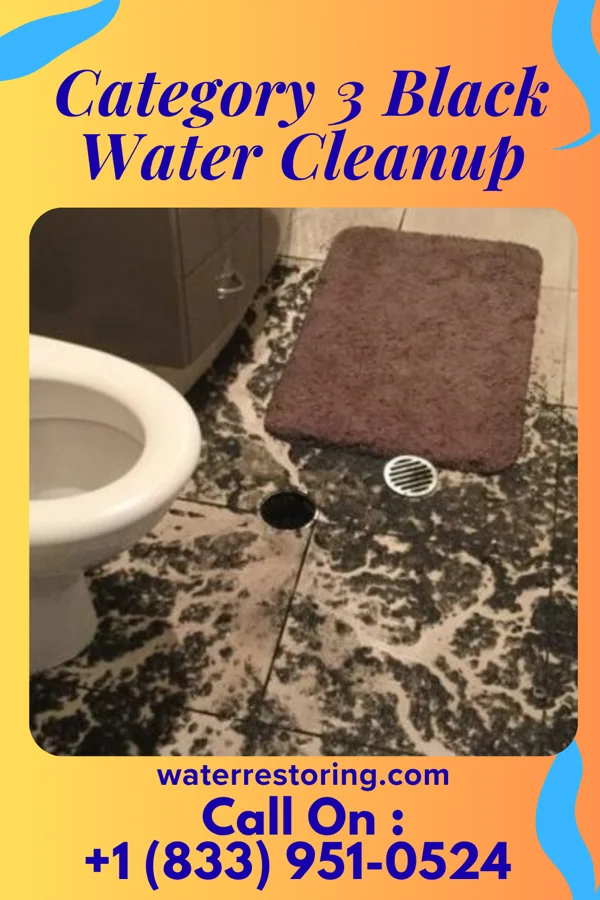 Category 3 Black Water Cleanup in Indiantown, FL