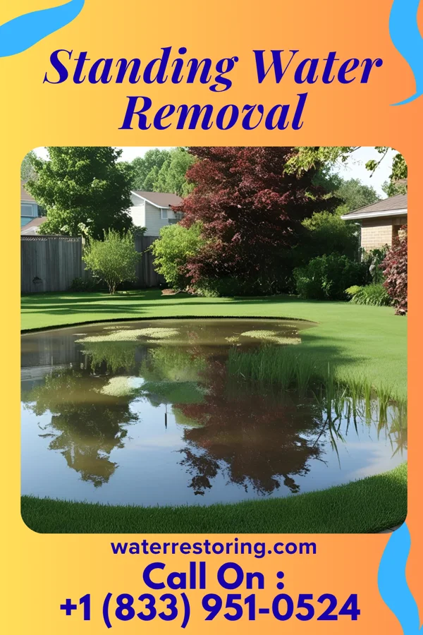 Standing Water Removal in Indiantown, FL